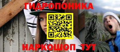 трава Лесосибирск