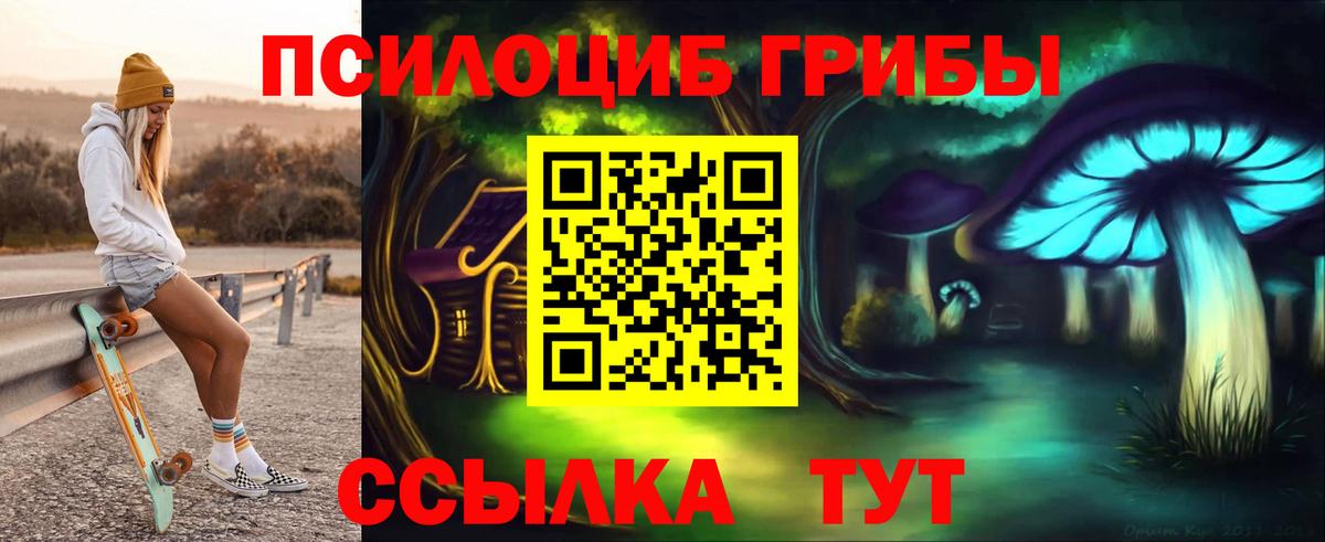 купить закладку  Псилоцибиновые грибы MAGIC MUSHROOMS  Вход с VPN  Галлюциногенные грибы GOLDEN TEACHER  Туймазы 